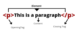 HTML Element vs HTML Tag